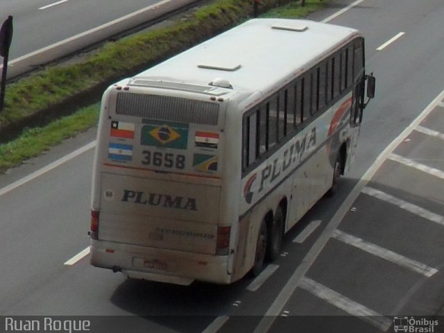 Pluma Conforto e Turismo 3658 na cidade de Americana, São Paulo, Brasil, por Ruan Roque. Número da foto: #1827800.