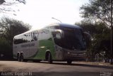 Transbrasiliana Transportes e Turismo 51021 na cidade de São Paulo, São Paulo, Brasil, por Adems  Equipe 19. Número da foto: #1827558.