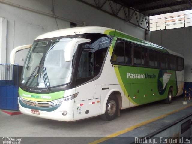 Pássaro Verde 11092 na cidade de Além Paraíba, Minas Gerais, Brasil, por Rodrigo Fernades. Número da foto: #1780490.
