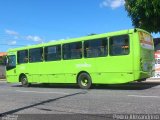 Transcol Transportes Coletivos 09377 na cidade de Teresina, Piauí, Brasil, por Pedro Alexandrino. Número da foto: #:id.