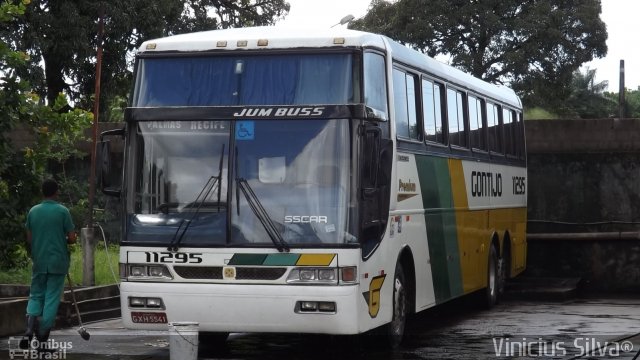 Empresa Gontijo de Transportes 11295 na cidade de Recife, Pernambuco, Brasil, por Vinicius Silva. Número da foto: #1853723.