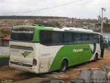 Pássaro Verde 29013 na cidade de Itamarandiba, Minas Gerais, Brasil, por Bruno Rabelo. Número da foto: #:id.