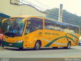 Empresa de Ônibus e Turismo Pedro Antônio RJ 126.011 na cidade de Nova Friburgo, Rio de Janeiro, Brasil, por Renan Vieira. Número da foto: #1864450.