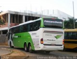 Pássaro Verde 28031 na cidade de Ponte Nova, Minas Gerais, Brasil, por Emerson Matias de Oliveira Santos. Número da foto: #:id.