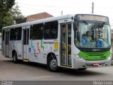 Viação Trevisan e Logística 22489 na cidade de Piracicaba, São Paulo, Brasil, por Diego Leão. Número da foto: #1864442.