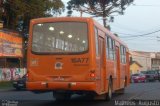 Viação Tamandaré 16A77 na cidade de Curitiba, Paraná, Brasil, por Matheus  Augusto. Número da foto: #1865665.