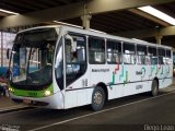 Viação Piracema de Transportes 81293 na cidade de Piracicaba, São Paulo, Brasil, por Diego Leão. Número da foto: #1868381.
