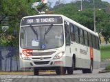 Borborema Imperial Transportes 950 na cidade de Recife, Pernambuco, Brasil, por Alexandro Tiago. Número da foto: #:id.