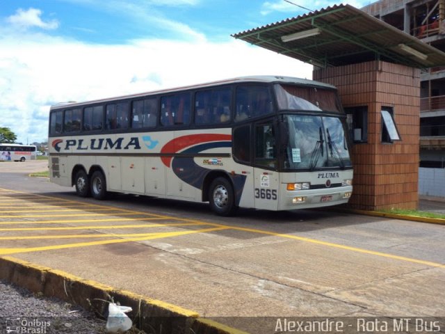 Pluma Conforto e Turismo 3665 na cidade de Cascavel, Paraná, Brasil, por Alexandre Rodrigo. Número da foto: #1870178.