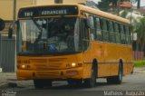 Transporte Coletivo Glória BC185 na cidade de Curitiba, Paraná, Brasil, por Matheus  Augusto. Número da foto: #1871260.