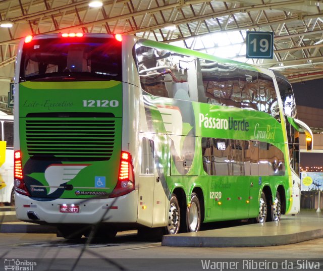 Pássaro Verde 12120 na cidade de Brasília, Distrito Federal, Brasil, por Wagner Ribeiro da Silva. Número da foto: #1873957.