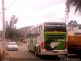 Pássaro Verde 11100 na cidade de Matipó, Minas Gerais, Brasil, por Jessé Fernandes. Número da foto: #1885014.