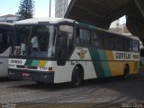 Empresa Gontijo de Transportes 8960 na cidade de Belo Horizonte, Minas Gerais, Brasil, por Vítor Dias. Número da foto: #1889571.