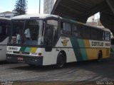 Empresa Gontijo de Transportes 8960 na cidade de Belo Horizonte, Minas Gerais, Brasil, por Vítor Dias. ID da foto: :id.