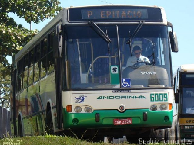 Empresa de Transportes Andorinha 6009 na cidade de Presidente Prudente, São Paulo, Brasil, por Beatriz Fernandes. ID da foto: 1837349.