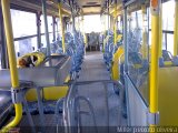 Transporte Tropical INTERIOR na cidade de Rio Largo, Alagoas, Brasil, por Müller Peixoto. Número da foto: #:id.