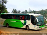 Pássaro Verde 29001 na cidade de Rio Casca, Minas Gerais, Brasil, por Caio César de Freitas Lopes. Número da foto: #:id.