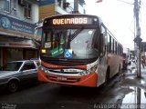 Linave Transportes RJ 146.085 na cidade de Nova Iguaçu, Rio de Janeiro, Brasil, por André Luiz Nascimento. Número da foto: #1839762.