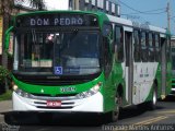 VB Transportes e Turismo 3009 na cidade de Campinas, São Paulo, Brasil, por Everton Silva  Fellon. ID da foto: :id.