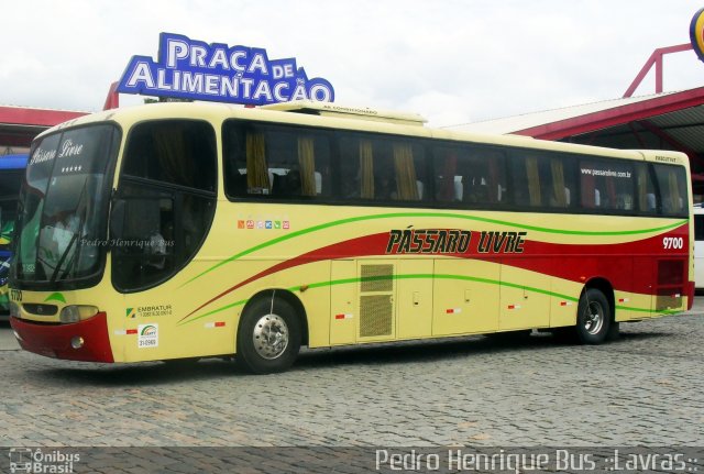 Viação Pássaro Livre 9700 na cidade de Ribeirão Vermelho, Minas Gerais, Brasil, por Pedro Henrique Gumercindo da Silva. ID da foto: 1842138.