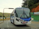 Transportes Além Paraíba 206 na cidade de Além Paraíba, Minas Gerais, Brasil, por Renan Vieira. Número da foto: #1842800.