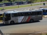 Auto Viação Ouro Verde OV-2080 na cidade de Americana, São Paulo, Brasil, por Ruan Roque. Número da foto: #1847966.