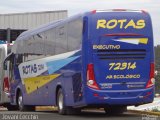RodeRotas - Rotas de Viação do Triângulo 72314 na cidade de Caxias do Sul, Rio Grande do Sul, Brasil, por Jovani Cecchin. Número da foto: #1930146.