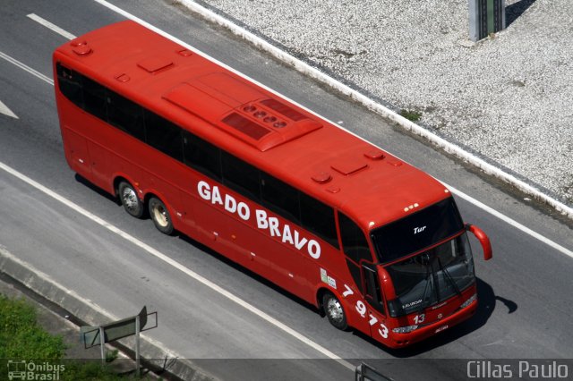Gado Bravo Turismo 7913 na cidade de Campina Grande, Paraíba, Brasil, por Cillas Paulo. Número da foto: #1931946.