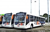 SBC Trans 2033 na cidade de São Bernardo do Campo, São Paulo, Brasil, por Marco Antonio da Silva. Número da foto: #:id.