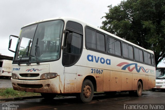 AVOA - Auto Viação Ourinhos Assis 21067 na cidade de Paraguaçu Paulista, São Paulo, Brasil, por Francisco Ivano. Número da foto: #1944039.