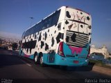 UTIL - União Transporte Interestadual de Luxo 11104 na cidade de Belo Horizonte, Minas Gerais, Brasil, por Patrícia  Rocha. Número da foto: #1944485.
