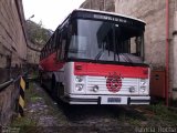Santa Cruz Futebol Clube 9836 na cidade de Belo Horizonte, Minas Gerais, Brasil, por Patrícia  Rocha. Número da foto: #1944507.
