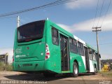 Transantiago  na cidade de Botucatu, São Paulo, Brasil, por Alexandre  Luis de Oliveira. Número da foto: #1951221.