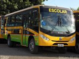 Escolares LIMOEIRO DE ANADIA-AL na cidade de Limoeiro de Anadia, Alagoas, Brasil, por Gustavo Alfredo. Número da foto: #1951482.