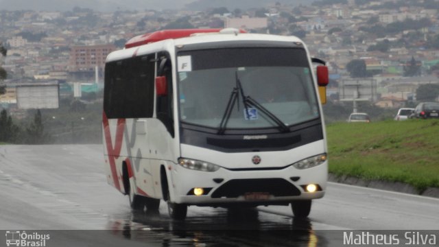 Beija Flor Turismo 1300 na cidade de Atibaia, São Paulo, Brasil, por Matheus Silva. Número da foto: #1897573.
