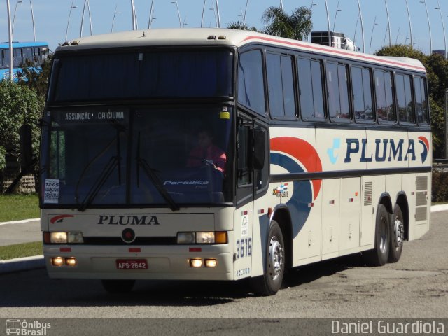 Pluma Conforto e Turismo 3616 na cidade de Florianópolis, Santa Catarina, Brasil, por Daniel Guardiola. Número da foto: #1955695.