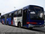 EAOSA - Empresa Auto Ônibus Santo André 994 na cidade de Santo André, São Paulo, Brasil, por Sandro Alves. Número da foto: #1956618.