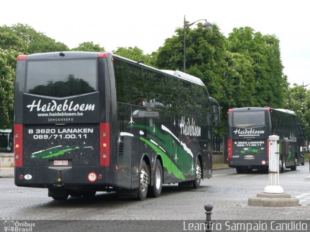 Heidebloem SN na cidade de , por Sidnei Machado Strujak. Número da foto: #1903389.