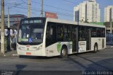 Viação Santa Brígida 1 1999 na cidade de São Paulo, São Paulo, Brasil, por Ricardo Silva Monteiro. Número da foto: #:id.