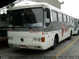 Turismo e Fretamento Orion Transportes 9801 na cidade de São Paulo, São Paulo, Brasil, por Ricardo Marcelino. ID da foto: :id.