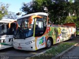 Ônibus Particulares  na cidade de Rio de Janeiro, Rio de Janeiro, Brasil, por Carlos Almeida. Número da foto: #1959067.