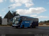 Princesa do Norte 51411 na cidade de Araguari, Minas Gerais, Brasil, por Guilherme Antonio. Número da foto: #:id.