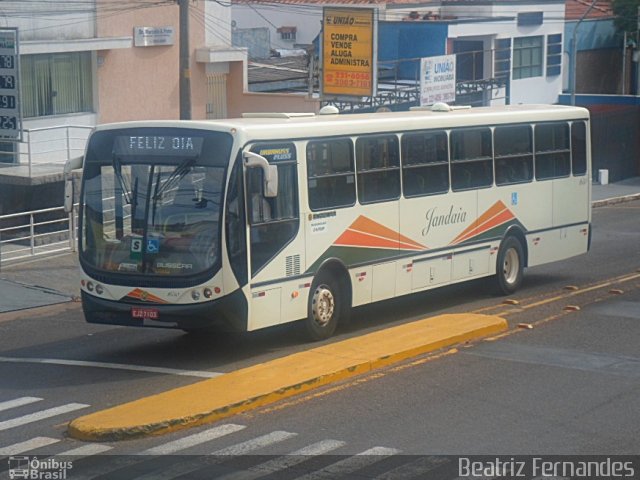 Jandaia Transportes e Turismo 1650 na cidade de Presidente Prudente, São Paulo, Brasil, por Beatriz Fernandes. Número da foto: #1982925.