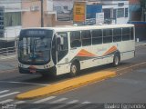 Jandaia Transportes e Turismo 1650 na cidade de Presidente Prudente, São Paulo, Brasil, por Beatriz Fernandes. Número da foto: #1982925.