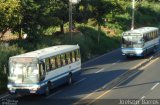 Viação Santana 02100 na cidade de Teresina, Piauí, Brasil, por Joelson  Barros. Número da foto: #1982799.