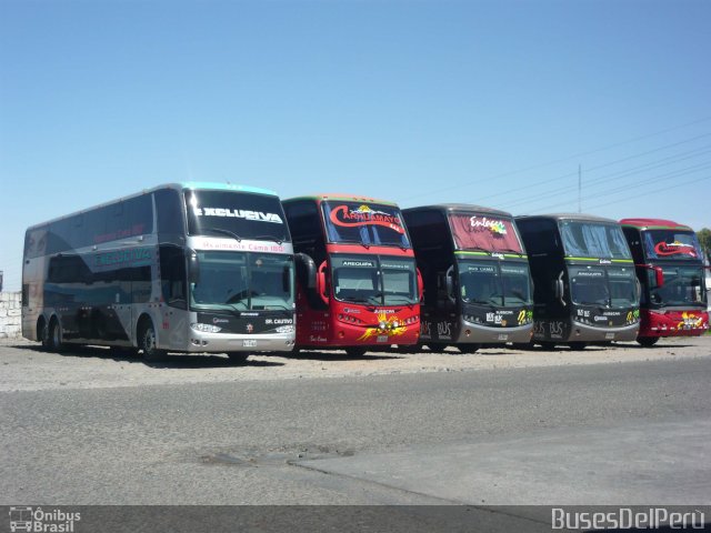Transportes Civa 311 na cidade de , por Douglas Alvim. Número da foto: #1984198.