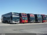 Transportes Civa 311 na cidade de , por Douglas Alvim. Número da foto: #1984198.