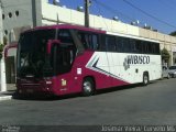 Hibisco Turismo 900 na cidade de Curvelo, Minas Gerais, Brasil, por Josimar Vieira. Número da foto: #1997507.
