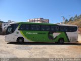 Pássaro Verde 1041 na cidade de Viçosa, Minas Gerais, Brasil, por Julio Cesar Euzebio Alves. Número da foto: #:id.
