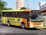 TUA - Transportes Urbanos Araçatuba 810 na cidade de Araçatuba, São Paulo, Brasil, por Diego Leão. ID da foto: :id.